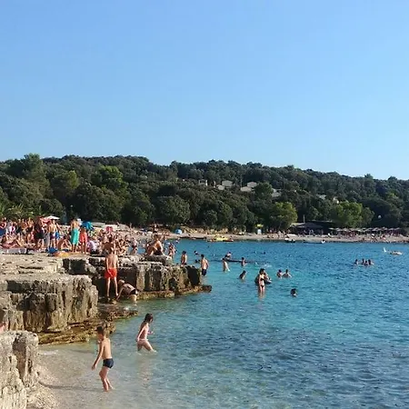 Icarus * Pula